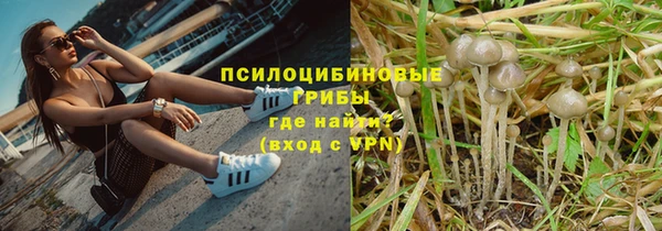 2c-b Гусь-Хрустальный